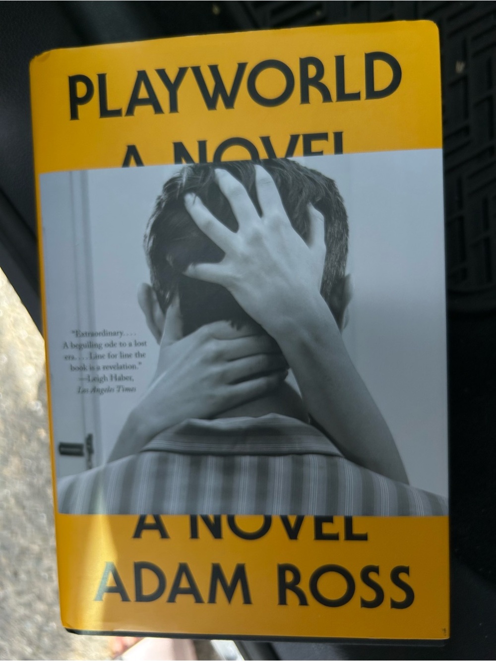 Playworld by Adam Ross 1st Ed. Book
